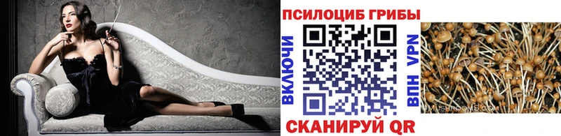 Псилоцибиновые грибы MAGIC MUSHROOMS  это формула  Сольцы  что такое  